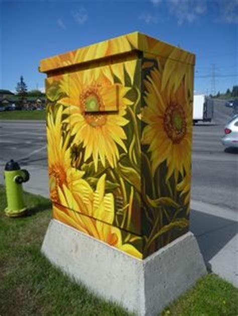 graffiti on electrical boxes|how to paint electrical boxes.